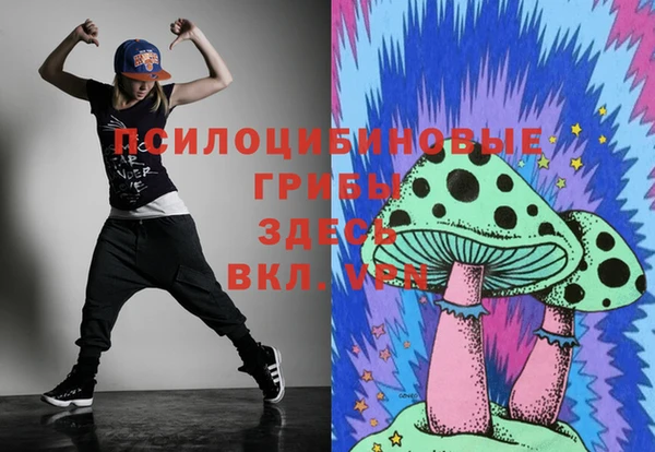 прущая мука Вязники