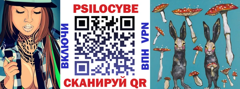Псилоцибиновые грибы Magic Shrooms  Ярославль 
